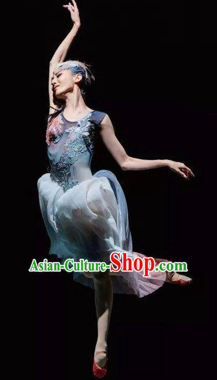 Crested Ibises Chinese Classical Dance Atrovirens Dress Stage Performance Dance Costume and Headpiece for Women