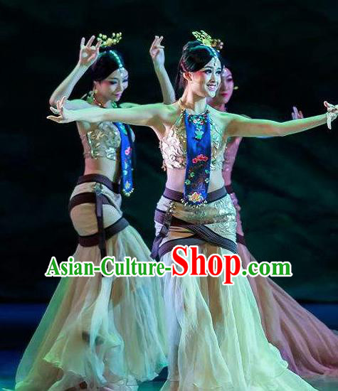 Chinese Lady Zhaojun Court Classical Dance Dress Stage Performance Dance Costume and Headpiece for Women