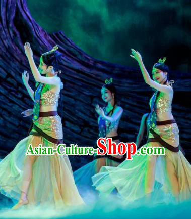 Chinese Lady Zhaojun Court Classical Dance Dress Stage Performance Dance Costume and Headpiece for Women
