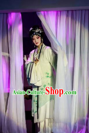 Chinese Peking Opera Lanruo Temple Fairy Nie Xiaoqian Dress Stage Performance Dance Costume and Headpiece for Women