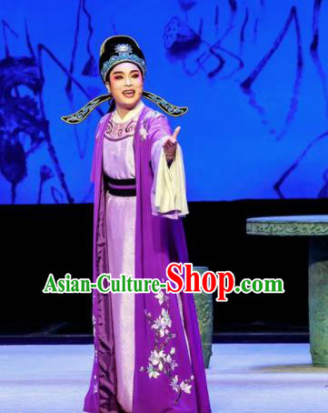 Phoenix Hairpin Chinese Peking Opera Niche Purple Clothing Stage Performance Dance Costume and Headpiece for Men