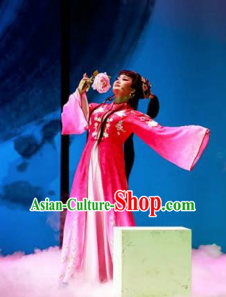 Huang Ye Hong Lou Chinese Peking Opera Lin Daiyu Rosy Dress Stage Performance Dance Costume and Headpiece for Women