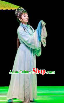Huang Ye Hong Lou Chinese Peking Opera Lin Daiyu Dress Stage Performance Dance Costume and Headpiece for Women