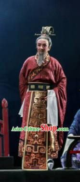 Chinese Shaoxing Opera Bronze Swallow Terrace Minister Clothing Stage Performance Dance Costume for Men