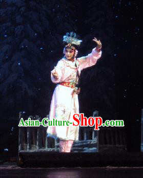 Su Wu In Desert Chinese Peking Opera Pink Dress Stage Performance Dance Costume and Headpiece for Women