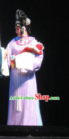 Su Wu In Desert Chinese Peking Opera Diva Pink Dress Stage Performance Dance Costume and Headpiece for Women