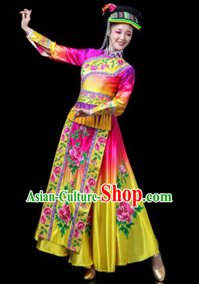 Chinese Traditional Ethnic Dance Costume Yi Nationality Dance Rosy Dress for Women