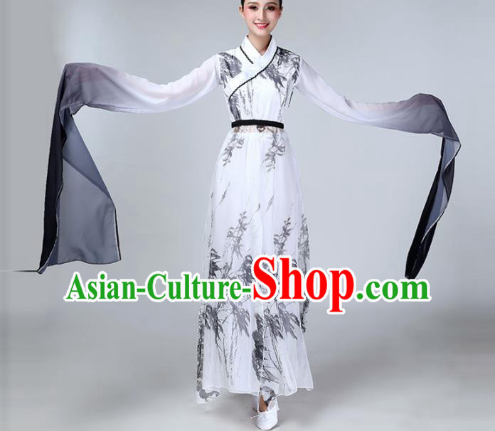 Chinese Traditional Stage Performance Dance Costume Classical Dance Water Sleeve Dress for Women