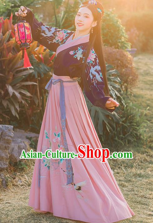 Chinese Ancient Embroidered Hanfu Dress Ming Dynasty Young Lady Traditional Historical Costume for Women