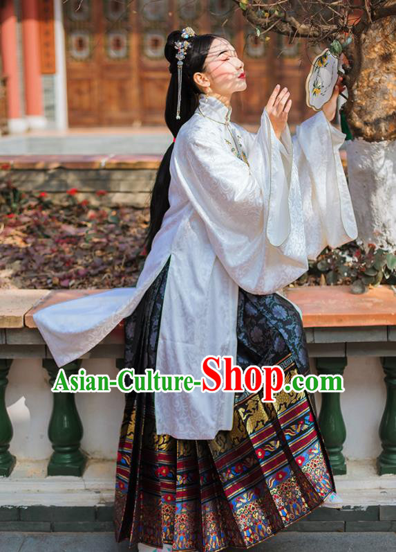 Chinese Ancient Ming Dynasty Palace Female Embroidered Historical Costume Complete Set