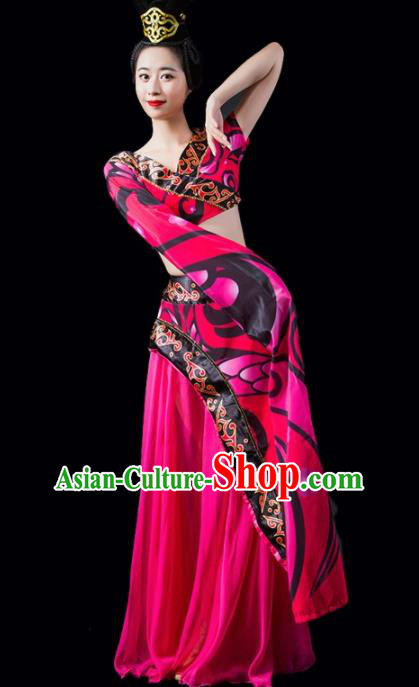 Chinese Traditional Classical Dance Costume Peri Dance Water Sleeve Rosy Dress for Women