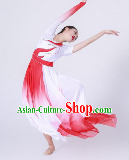 Chinese Traditional National Dance Clothing Classical Dance Red Costume for Women