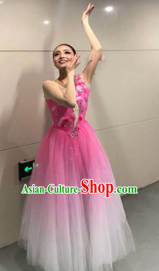 Top Grade Chorus Opening Dance Pink Veil Dress Modern Dance Stage Performance Costume for Women