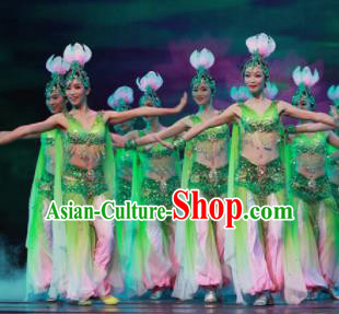 Chinese Traditional Classical Dance Green Clothing Lotus Dance Stage Performance Costume for Women