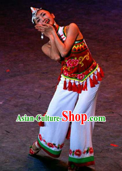 Chinese Traditional Fan Dance Clothing Folk Dance Stage Performance Costume for Women