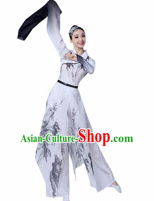 Chinese Traditional Stage Performance Costume Classical Dance Water Sleeve White Dress for Women