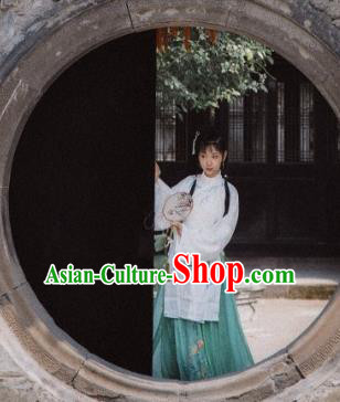 Chinese Traditional Ming Dynasty Nobility Lady Hanfu Dress Ancient Palace Princess Costume for Women