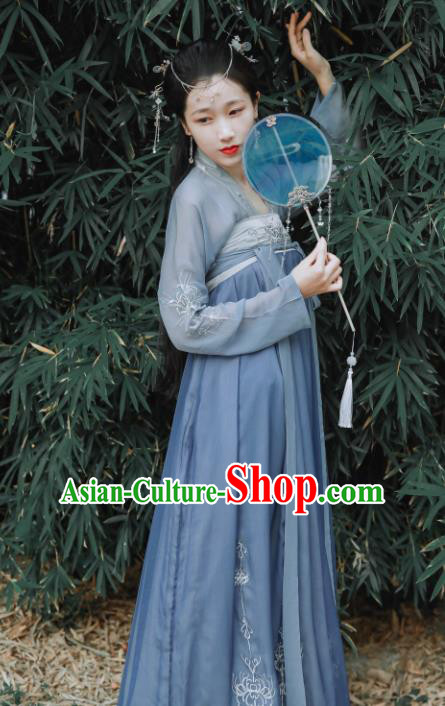 Chinese Traditional Tang Dynasty Court Lady Embroidered Historical Costume Ancient Princess Hanfu Dress for Women