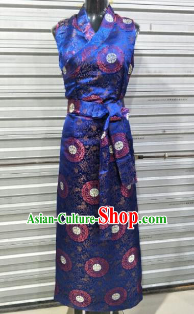 Traditional Chinese National Tibetan Ethnic Royalblue Dress Zang Nationality Folk Dance Costume for Women