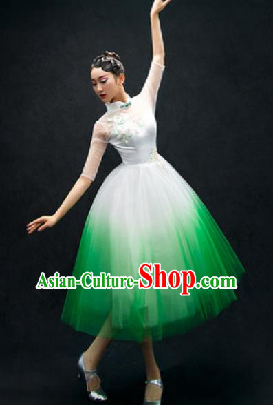 Chinese Classical Dance Costume Traditional Modern Dance Green Veil Dress for Women
