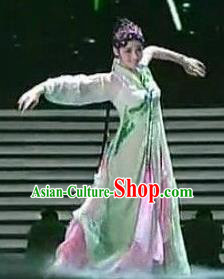 Traditional Chinese Classical Dance Chun Se Costume Group Dance Dress for Women