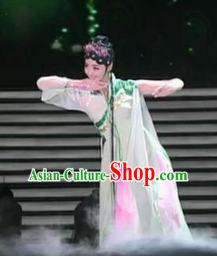 Traditional Chinese Classical Dance Chun Se Costume Group Dance Spring Scenery Dress for Women