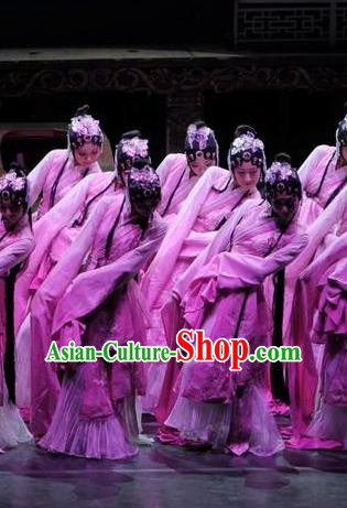 Traditional Chinese Classical Dance Fen Mo Chun Qiu Costume Beijing Opera Beautiful Dance Pink Dress for Women