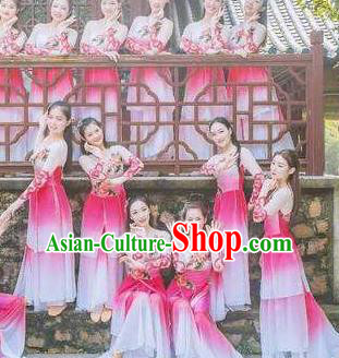 Traditional Chinese Classical Dance Fu Sheng Ci Costume Beautiful Dance Pink Dress for Women