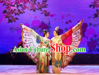 Traditional Chinese Classical Dance Liang Zhu Costume Beijing Opera Butterfly Lovers Stage Show Beautiful Dance Dress for Women