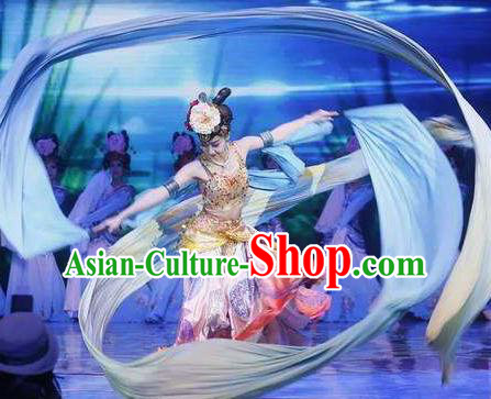 Traditional Chinese Classical Dance Bai Zhu Wu Costume Peking Opera Water Sleeve Dress for Women