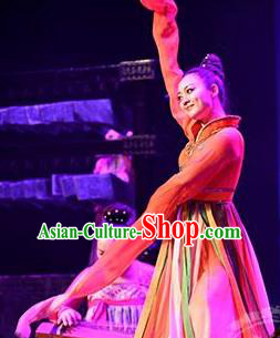 Traditional Chinese Classical Dance Rui Zhe Gu Costume Water Sleeve Stage Show Beautiful Dance Dress for Women