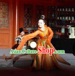 Traditional Chinese Classical Dance Rui Zhe Gu Costume Water Sleeve Stage Show Beautiful Dance Dress for Women