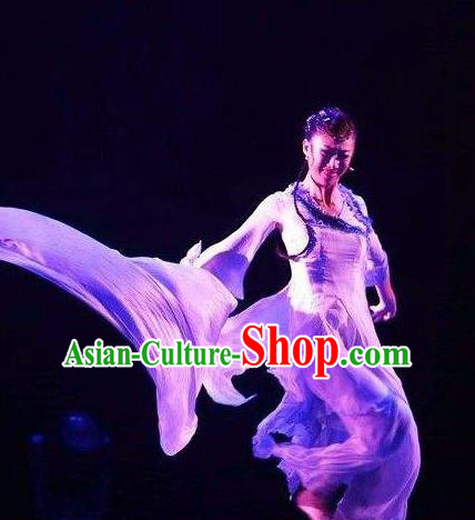 Traditional Chinese Classical Dance Ballet Ru Yan Costume Stage Show Beautiful Dance Dress for Women