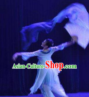 Traditional Chinese Classical Dance Ballet Ru Yan Costume Stage Show Beautiful Dance Dress for Women