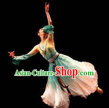 Beautiful Chinese Dance Pear Flower Dance Costume Traditional Classical Dance Dress for Women