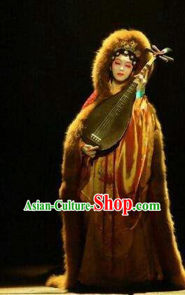 Beautiful Chinese Dance Wang Zhaojun Dance Costume Traditional Classical Dance Dress for Women