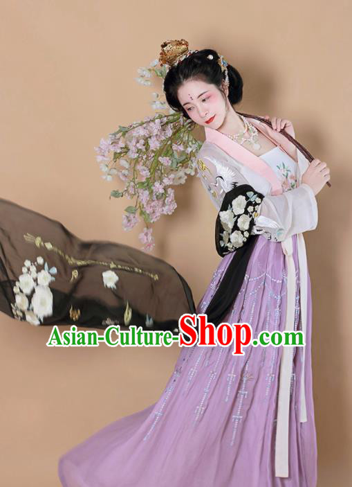 Chinese Traditional Tang Dynasty Court Lady Replica Costumes Ancient Las Meninas Hanfu Dress for Women