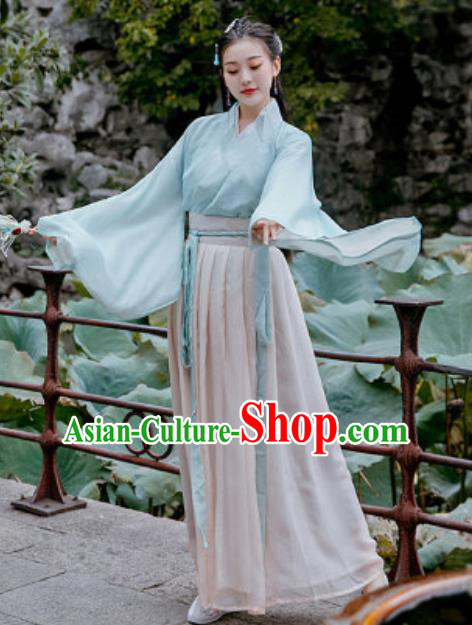 Chinese Traditional Ming Dynasty Female Civilian Costumes Ancient Drama Goddess Chiffon Hanfu Dress for Women