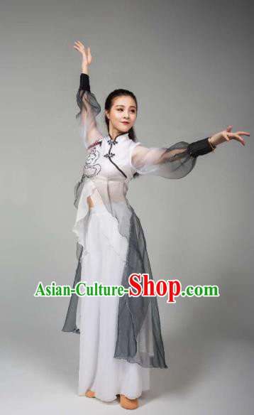 China Women Single Dance Outfits Traditional Classical Dance Costume Drama Stage Performance Clothing