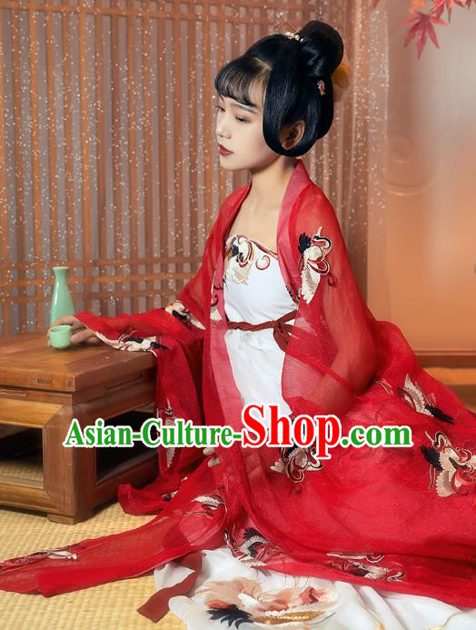 China Ancient Palace Princess Historical Clothing Traditional Tang Dynasty Court Lady Embroidered Hanfu Dress