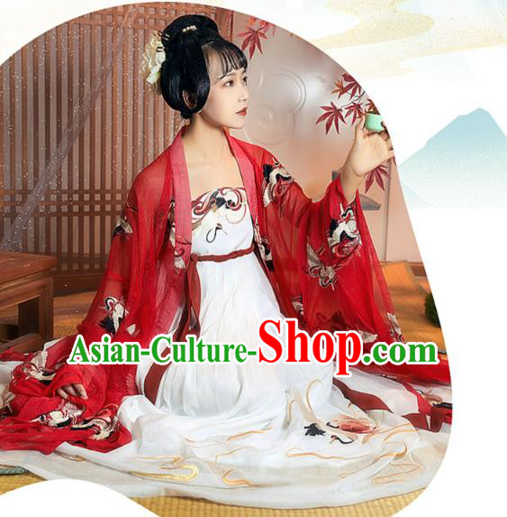 China Ancient Palace Princess Historical Clothing Traditional Tang Dynasty Court Lady Embroidered Hanfu Dress
