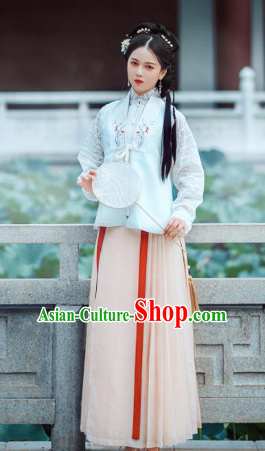 Chinese Ancient Noble Lady Embroidered Dress Traditional Ming Dynasty Nobility Costumes for Women