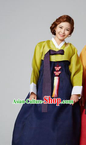 Korean Traditional Garment Green Blouse and Navy Dress Mother Hanbok Asian Korea Fashion Costume for Women