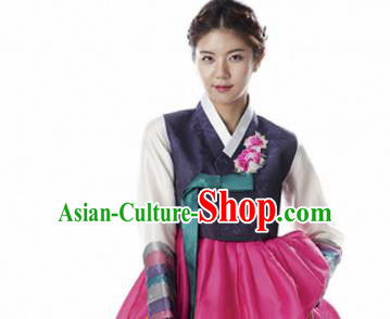 Korean Traditional Bride Hanbok Navy Blouse and Rosy Dress Garment Asian Korea Fashion Costume for Women
