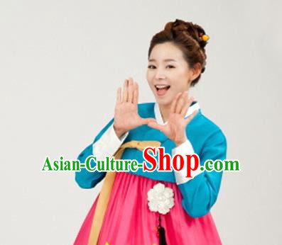 Korean Traditional Bride Mother Hanbok Blue Satin Blouse and Pink Dress Garment Asian Korea Fashion Costume for Women