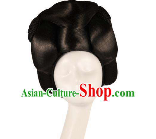 Traditional Chinese Tang Dynasty Wigs Ancient Fairy Hair Accessories for Women