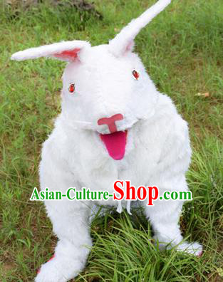 Cosplay Zodiac Rabbit Traditional Chinese New Year Stage Performance Costume Complete Set