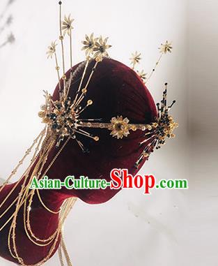 Traditional Chinese Stage Show Tassel Golden Hair Clasp Headdress Handmade Catwalks Hair Accessories for Women