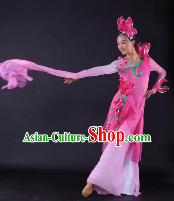 Chinese Classical Dance Water Sleeve Dance Pink Dress Traditional Stage Performance Costume for Women