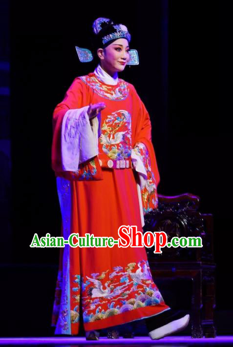 Chinese Peking Opera Niche Young Men Red Embroidered Robe Garment Double Pearl Phoenix Number One Scholar Wen Bizheng Apparel Costumes and Hat